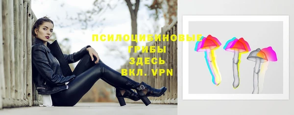 соль курить ск Алзамай