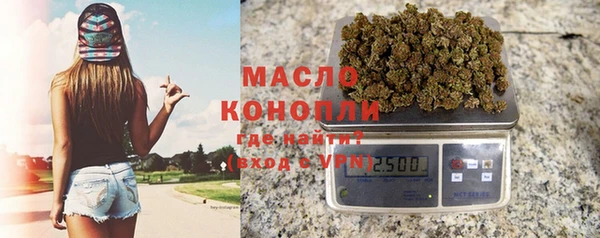 СК Алексин