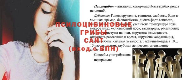 PSILOCYBIN Нягань