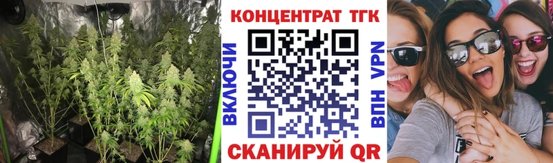 ТГК концентрат  Купить закладки  Балтийск 
